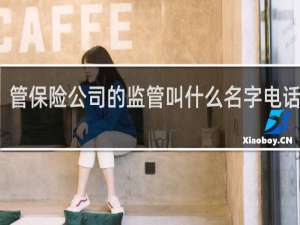 管保险公司的监管叫什么名字电话多少