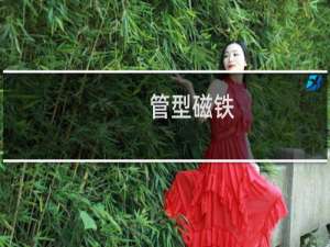 管型磁铁