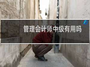 管理会计师中级有用吗