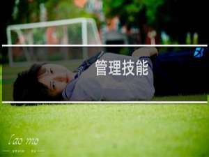 管理技能
