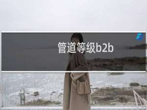 管道等级b2b
