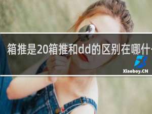 箱推是 箱推和dd的区别在哪什么梗