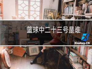 篮球中二十三号是谁
