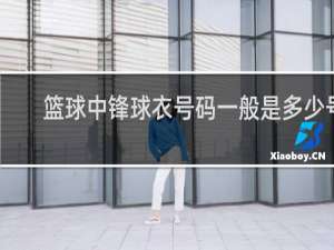 篮球中锋球衣号码一般是多少号