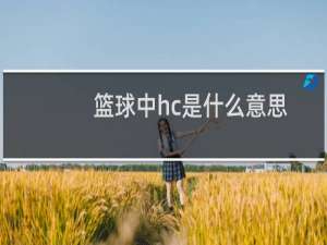 篮球中hc是什么意思