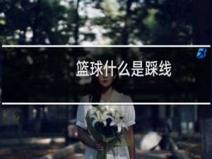 篮球什么是踩线