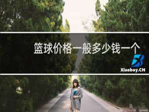 篮球价格一般多少钱一个