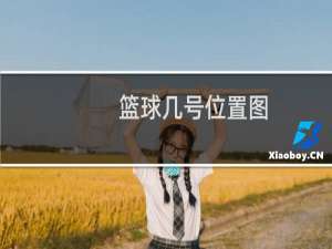 篮球几号位置图