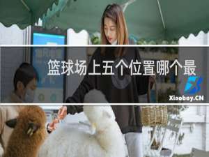 篮球场上五个位置哪个最核心