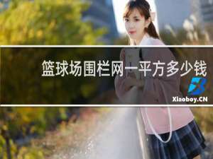 篮球场围栏网一平方多少钱