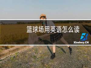 篮球场用英语怎么读