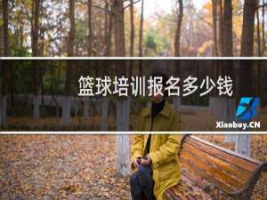 篮球培训报名多少钱