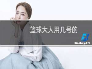 篮球大人用几号的