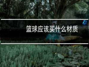 篮球应该买什么材质