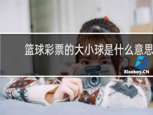 篮球彩票的大小球是什么意思
