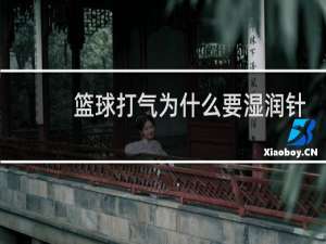 篮球打气为什么要湿润针