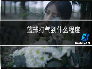 篮球打气到什么程度