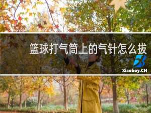 篮球打气筒上的气针怎么拔