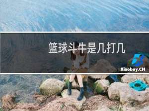 篮球斗牛是几打几