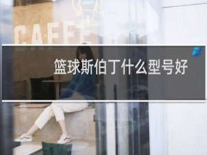 篮球斯伯丁什么型号好