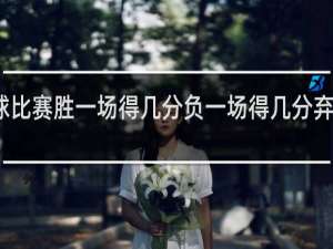 篮球比赛胜一场得几分负一场得几分弃权得几分