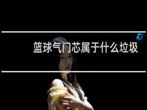 篮球气门芯属于什么垃圾