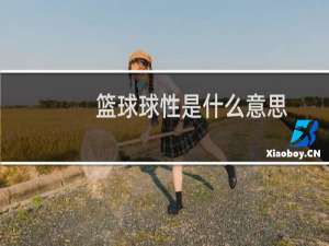 篮球球性是什么意思