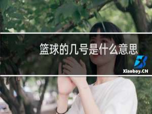 篮球的几号是什么意思