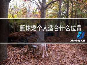 篮球矮个人适合什么位置