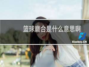 篮球磨合是什么意思啊