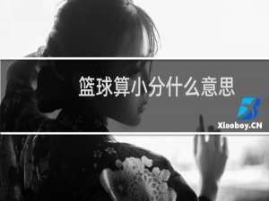篮球算小分什么意思