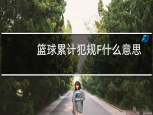篮球累计犯规F什么意思