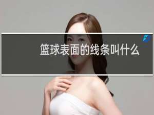 篮球表面的线条叫什么