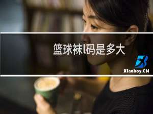 篮球袜l码是多大