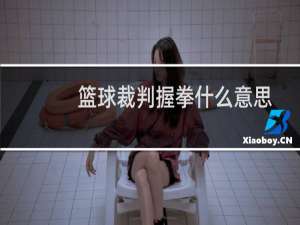 篮球裁判握拳什么意思