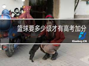 篮球要多少级才有高考加分