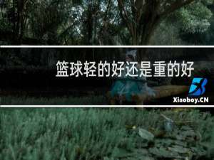 篮球轻的好还是重的好