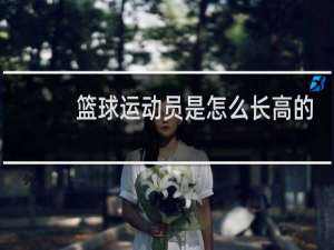 篮球运动员是怎么长高的