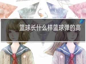 篮球长什么样篮球弹的高