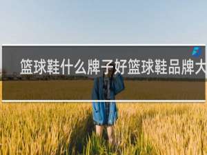 篮球鞋什么牌子好篮球鞋品牌大全