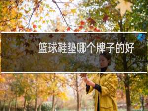 篮球鞋垫哪个牌子的好