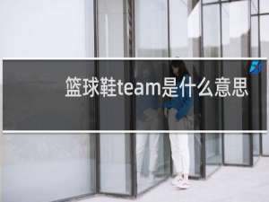 篮球鞋team是什么意思