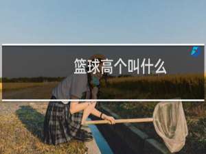 篮球高个叫什么