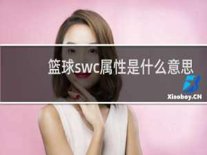 篮球swc属性是什么意思