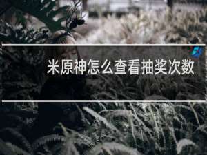 米原神怎么查看抽奖次数
