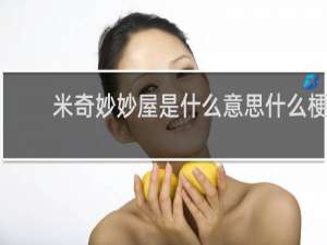米奇妙妙屋是什么意思什么梗
