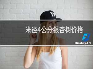 米径4公分银杏树价格