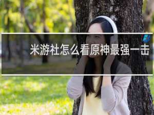 米游社怎么看原神最强一击
