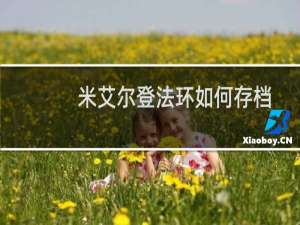 米艾尔登法环如何存档