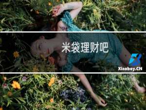 米袋理财吧